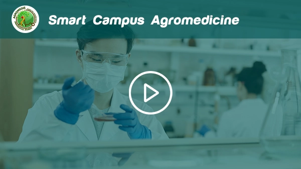 play-smart-campus-medicine